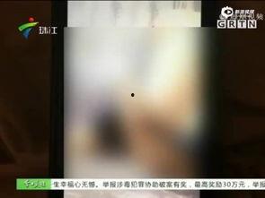 桃色热播在线视频,揭秘网络视频的激情与诱惑